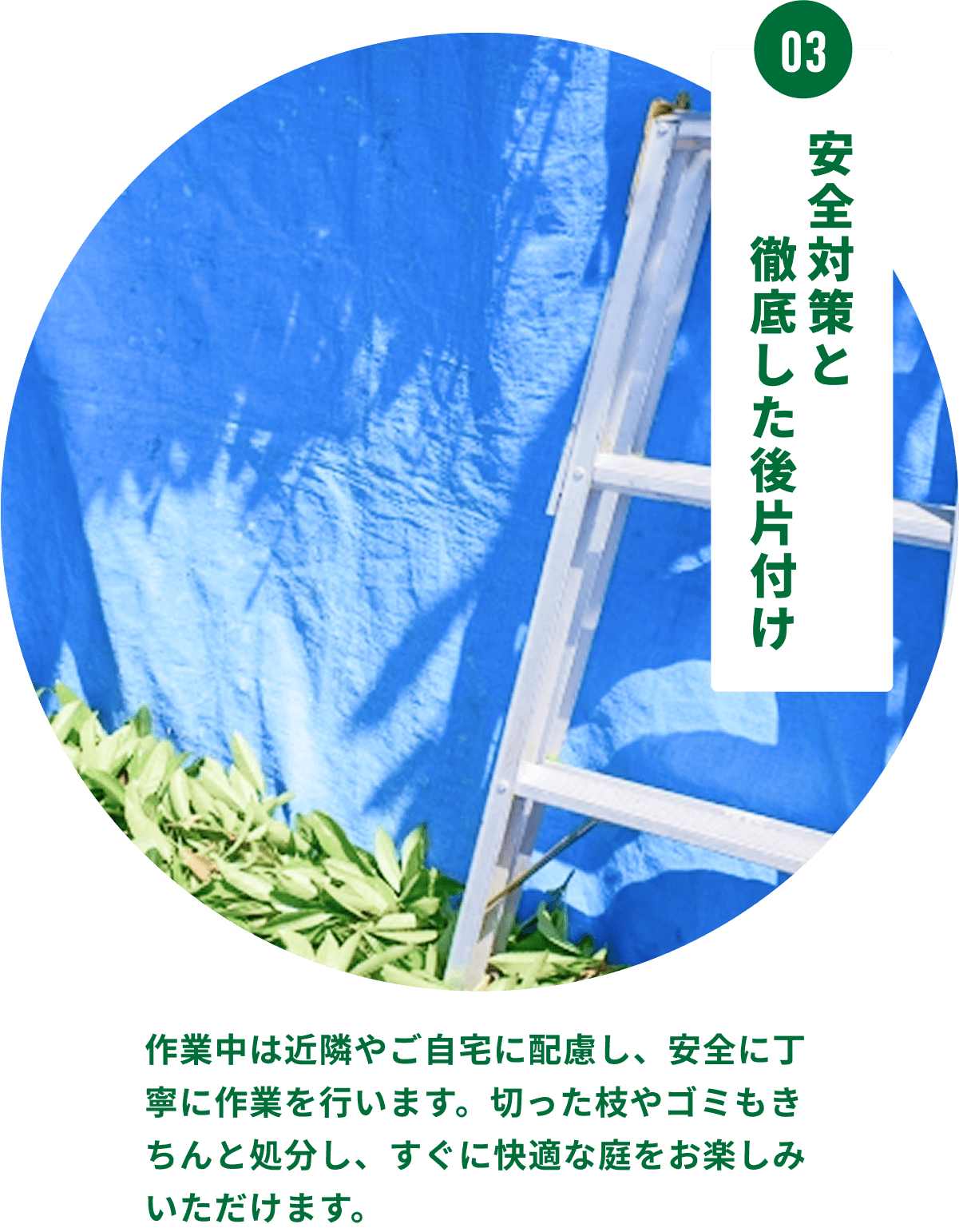 ブルシート ハシゴ 葉っぱ